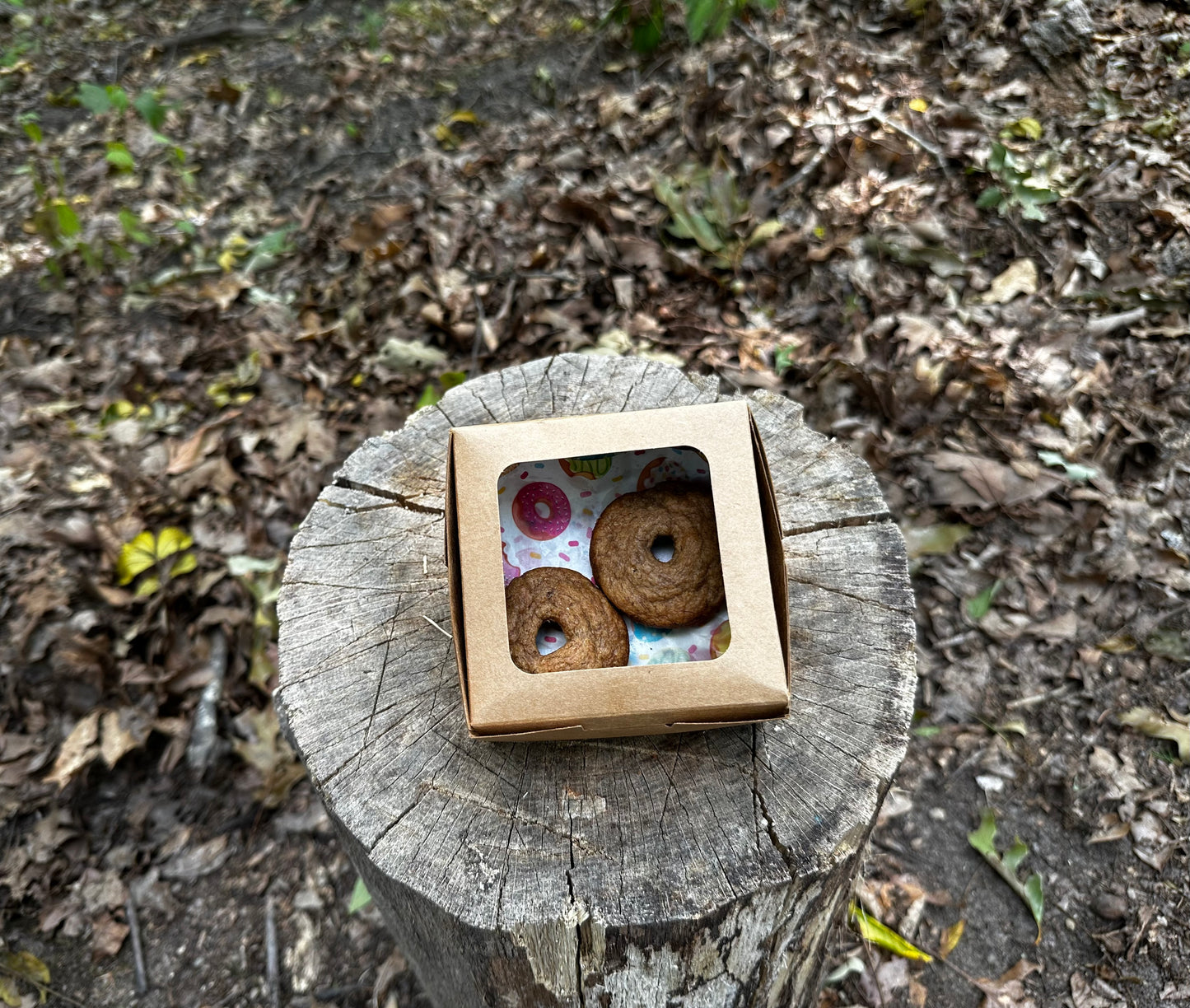 Dog Treat Mini Donuts