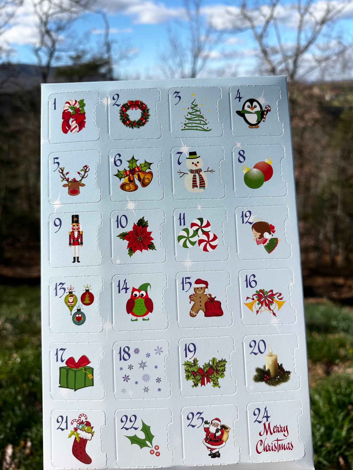 Advent Calendar for Dogs or Cats