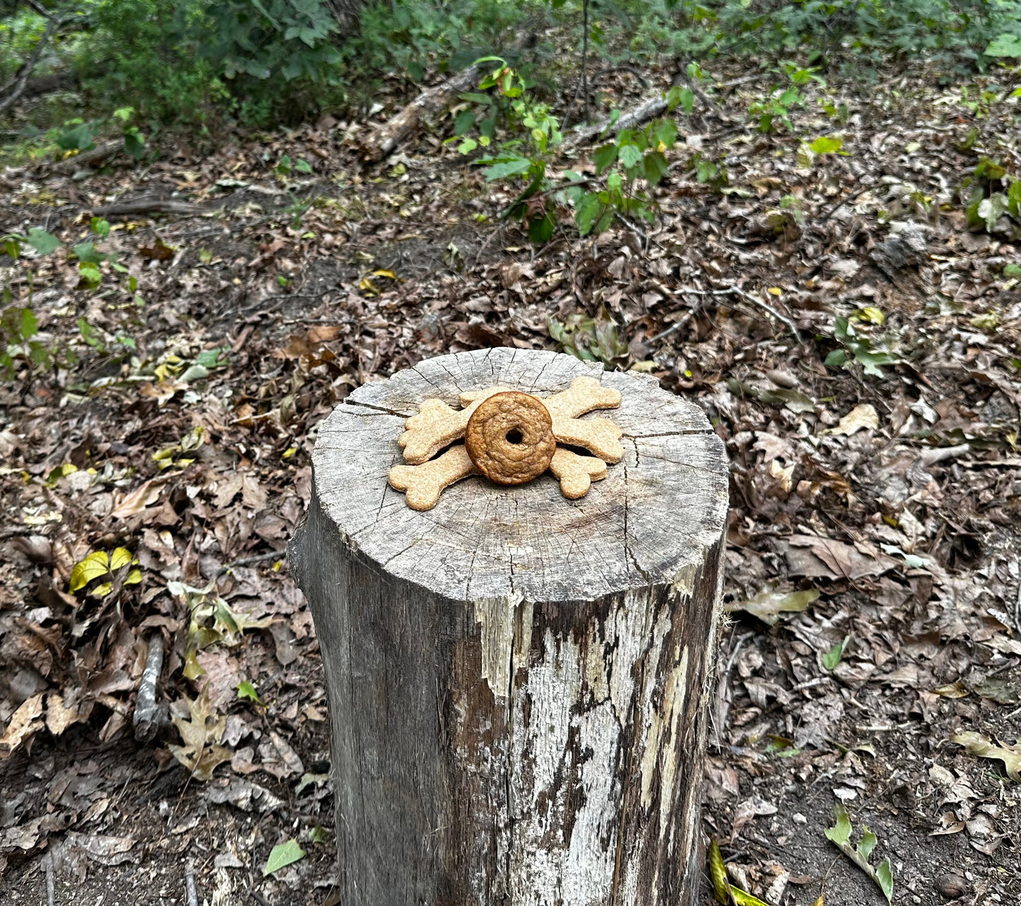 Dog Treat Mini Donuts